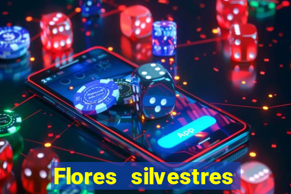 Flores silvestres brasileiras brasileiras flores silvestres nomes e imagens